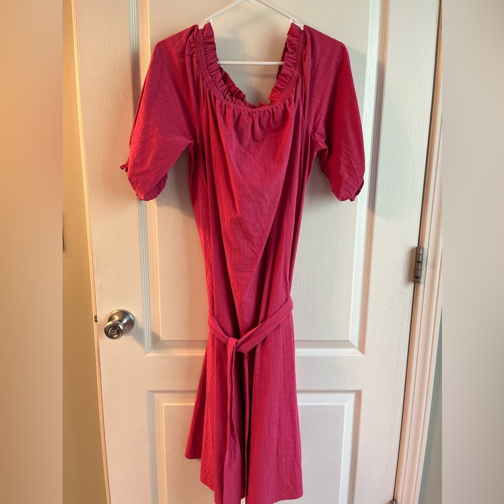 Ann Taylor Dress